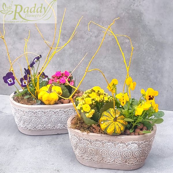 Autumn mini garden in a stone planter