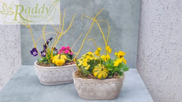Autumn mini garden in a stone planter