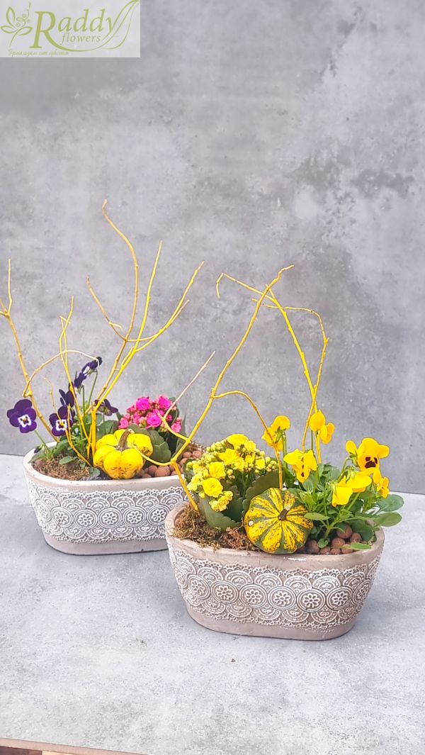 Autumn mini garden in a stone planter