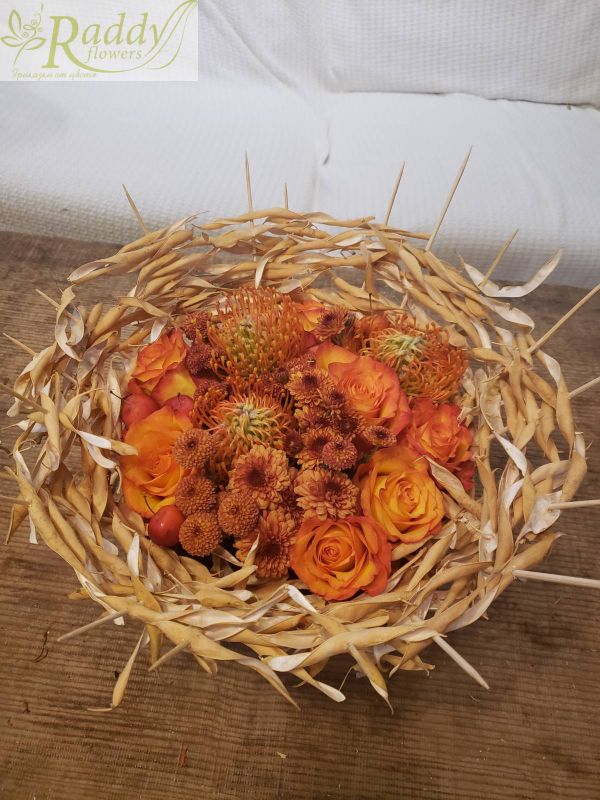 Autumn arrangement with bean pods