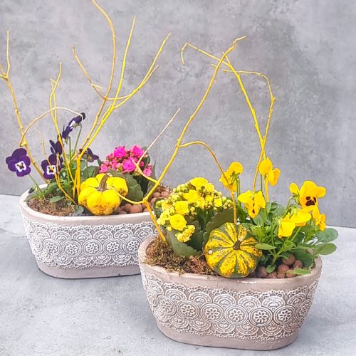 Autumn mini garden in a stone planter