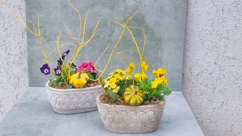 Autumn mini garden in a stone planter