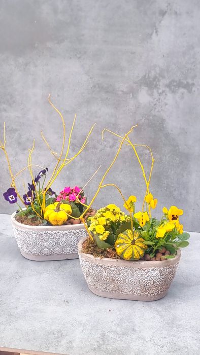 Autumn mini garden in a stone planter