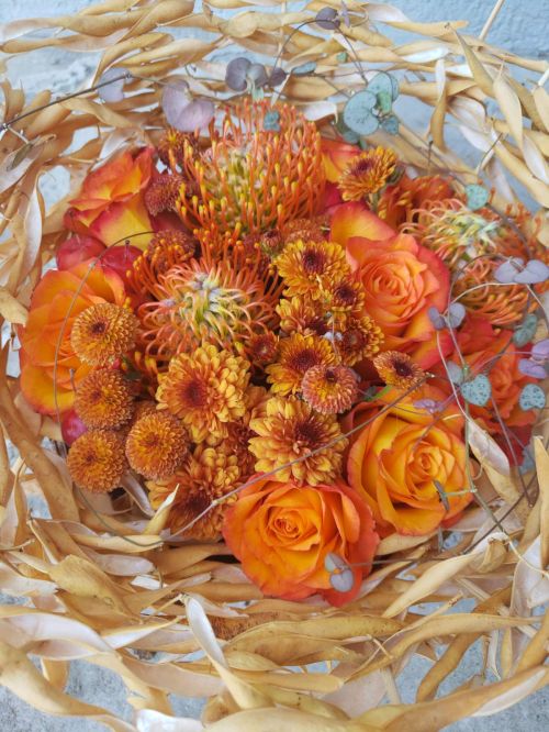 Autumn arrangement with bean pods